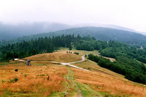 Golija